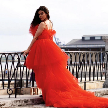 Prom Dress, Tulle Dresses,Formal Prom Dress    cg17292