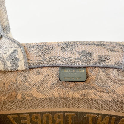 Dior Canvas Book Tote Medium Bag