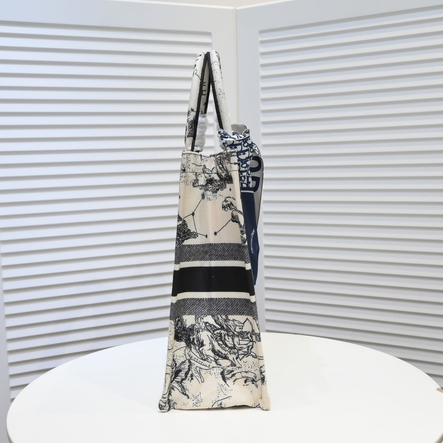 Dior Zodiac Embroidery