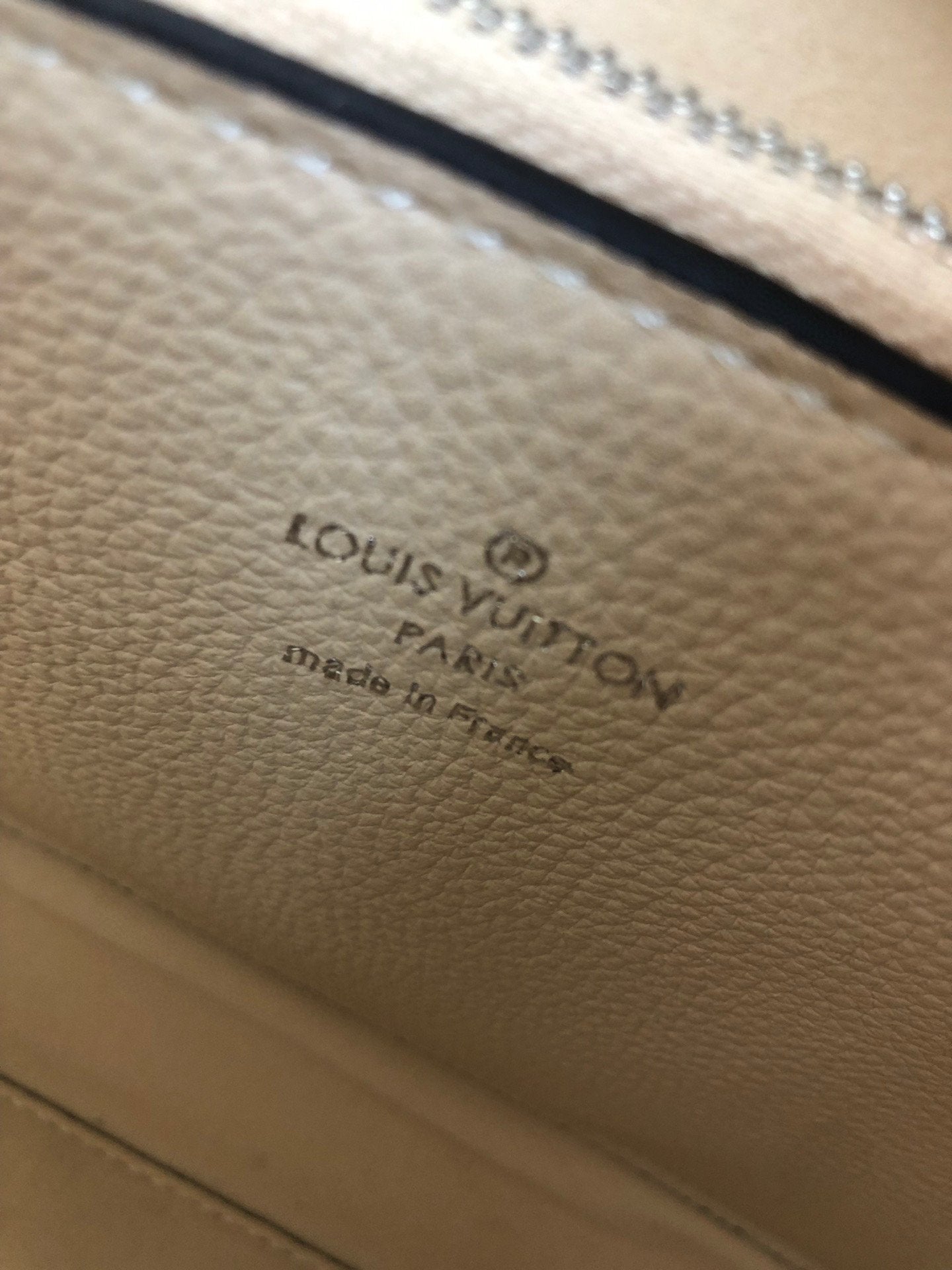 Louis Vuitton Carmel Hobo Bag ‘Mouse Grey’