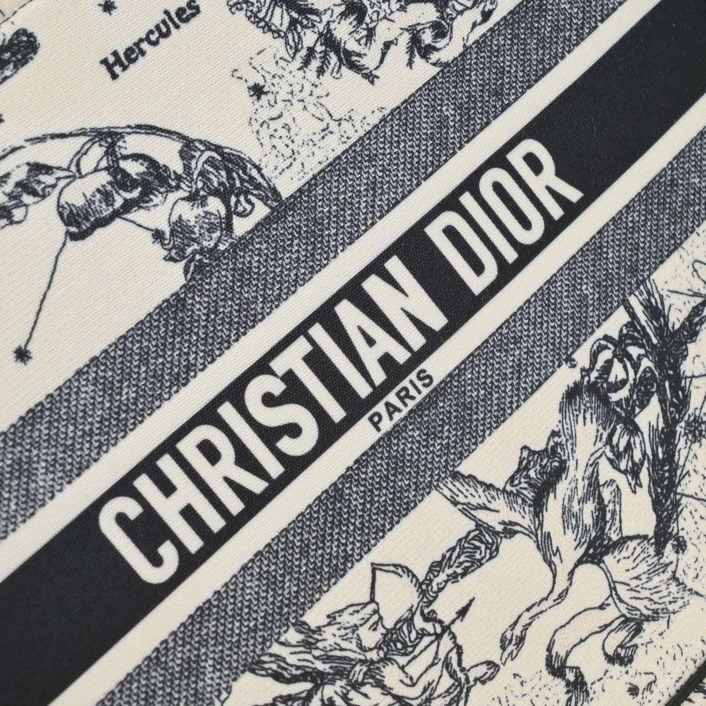 Dior Zodiac Embroidery