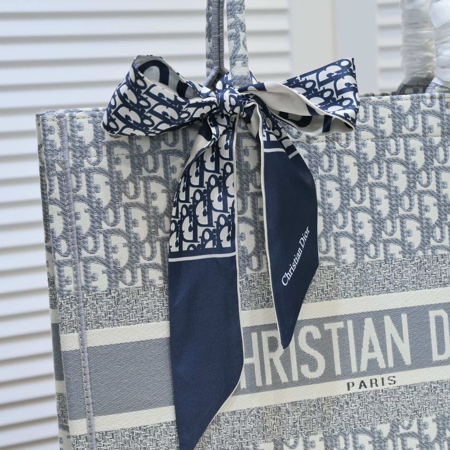 Christian Dior Book Tote