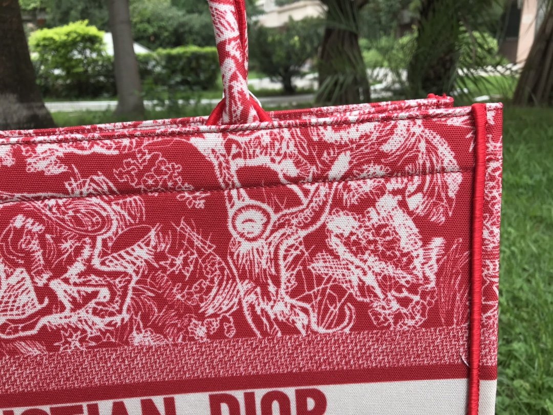Christian Dior Medium Book Tote