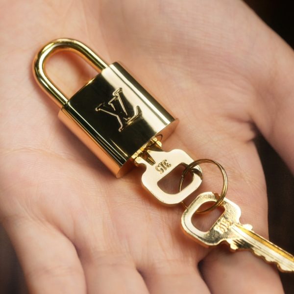 L V Speedy pillow bag M46234