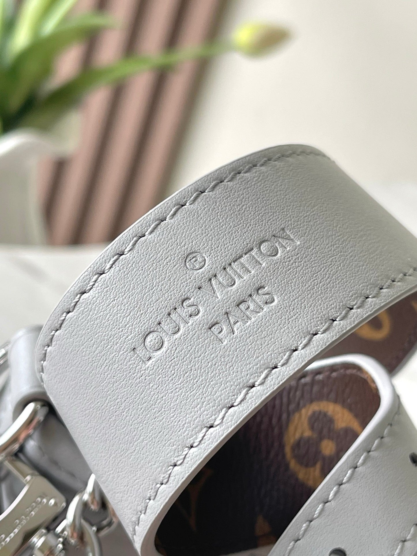 Louis Vuitton M12579 CarryAll Cargo PM