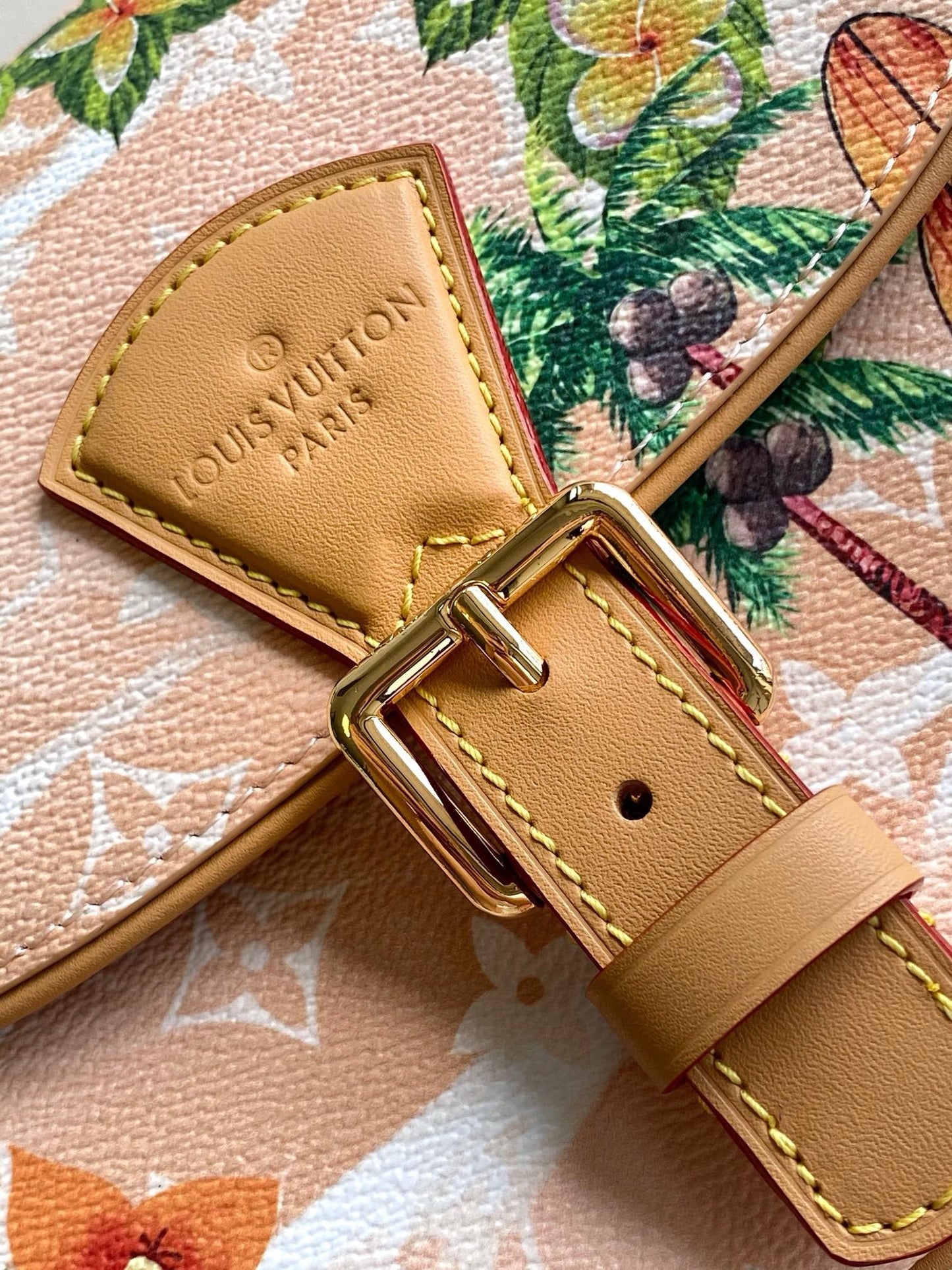 Louis Vuitton M24986 Montsouris Messenger PM