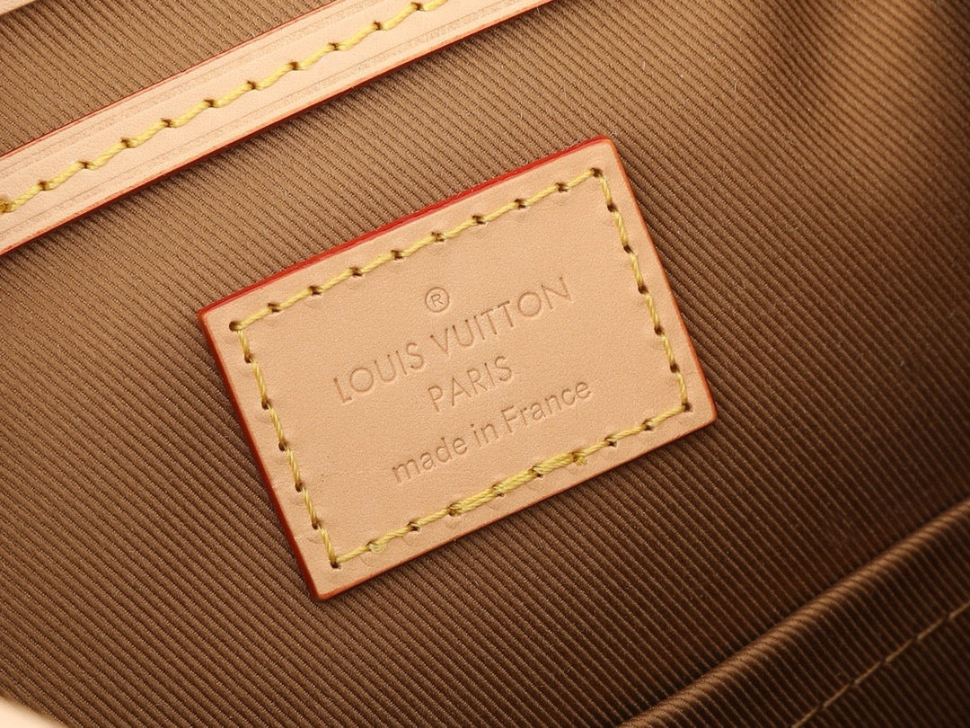 Louis Vuitton M11199 Montsouris Mini
