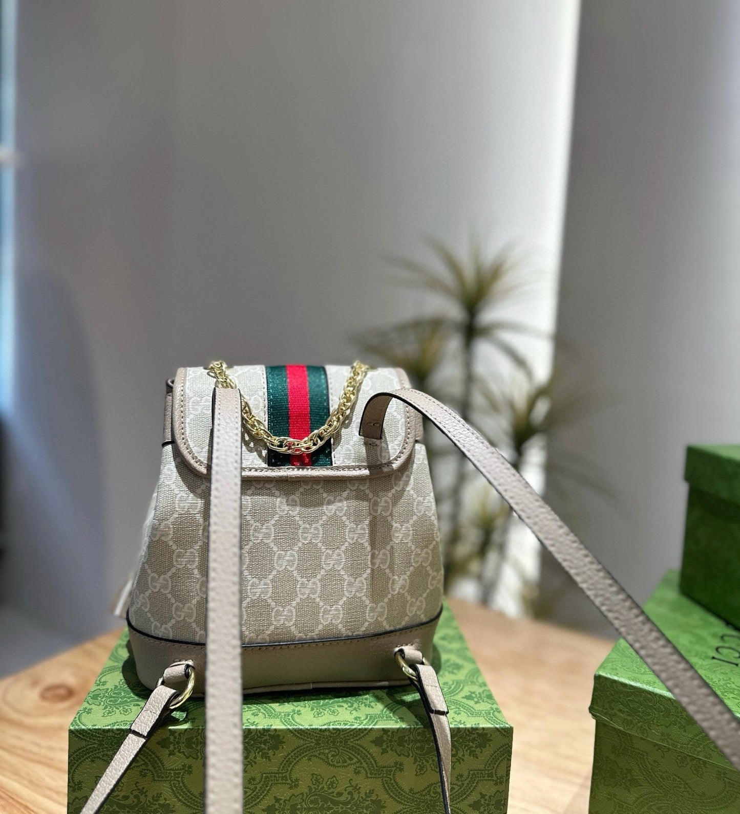 GUCCI Ophidia mini backpack