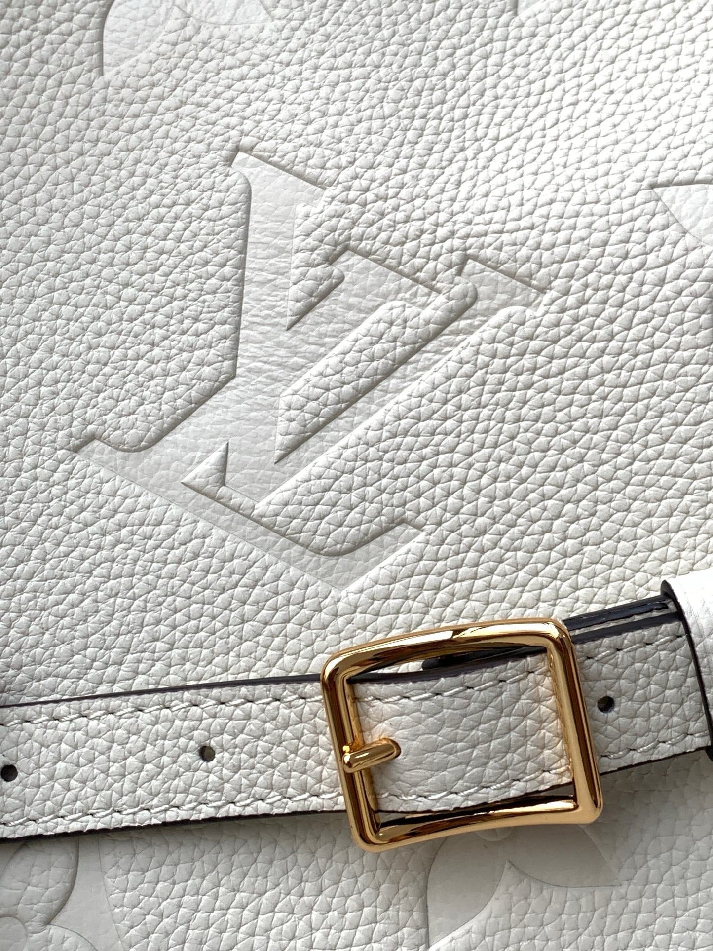 Louis Vuitton M46739 Loop Hobo