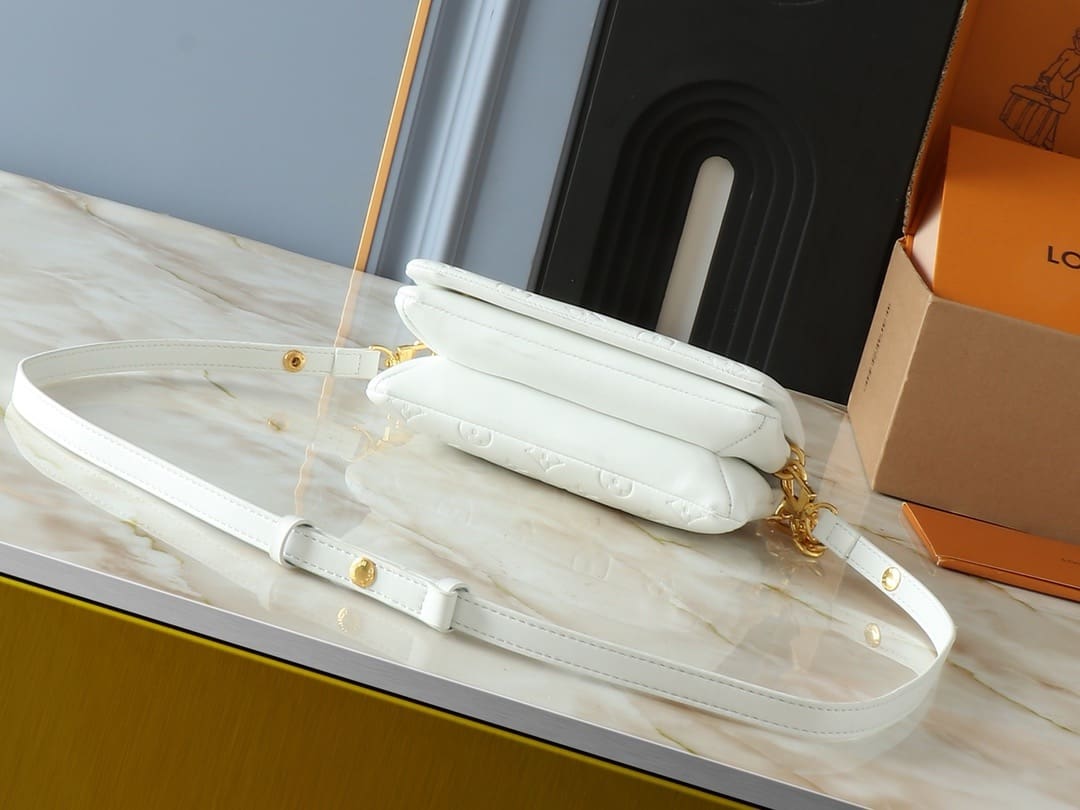 Louis Vuitton M11331 Pochette Coussin