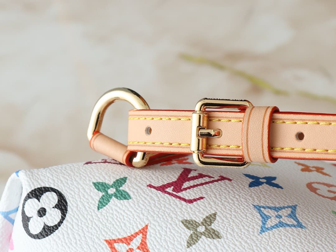 Louis Vuitton M13081 LV x TM Venice