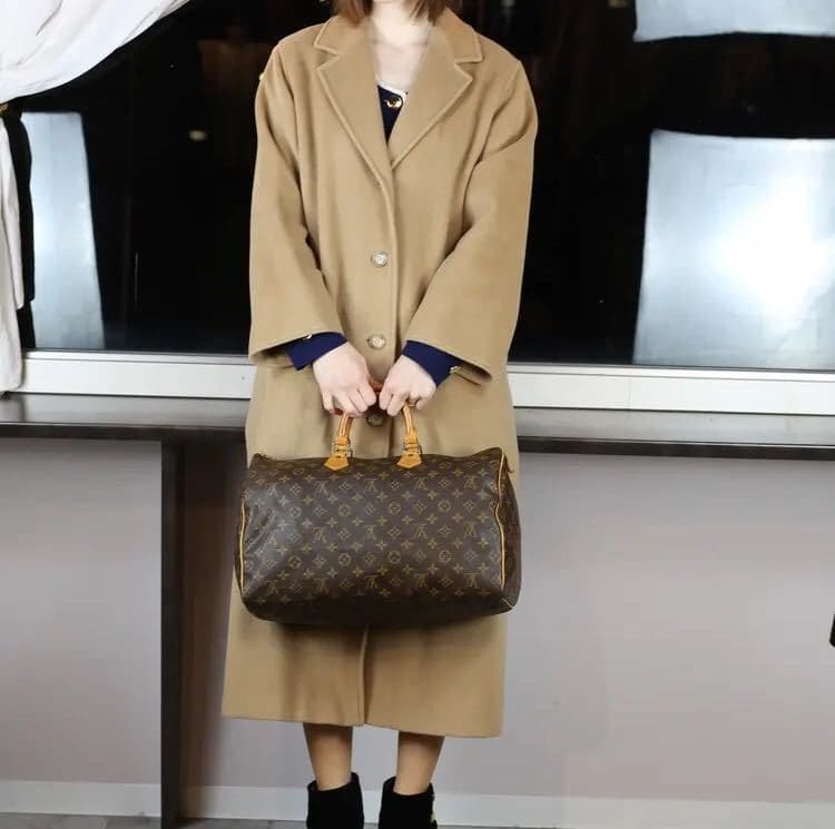 Louis Vuitton Speedy 40 M41106