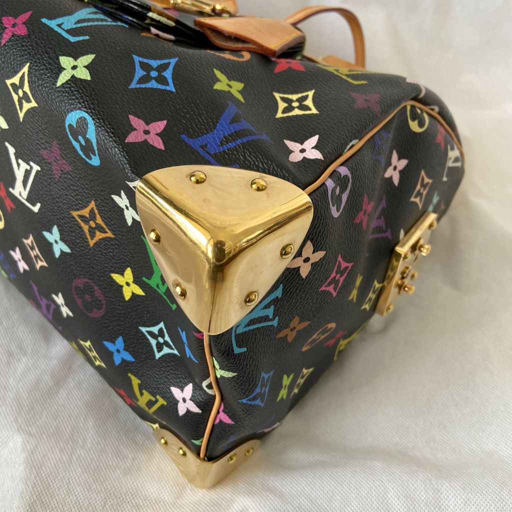 Louis Vuitton Monogram Multicolor Speedy 30 Handbag