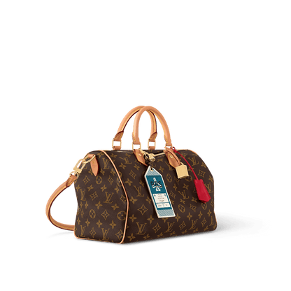 Louis Vuitton M11945 Speedy Soft 30 Crafty