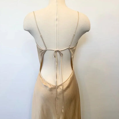 Champagne Victorian Style Exquisite Floral Embroidery Beading Spaghetti Strap Backless Long Satin Ball Gown Evening Dress Party Dress gh3924