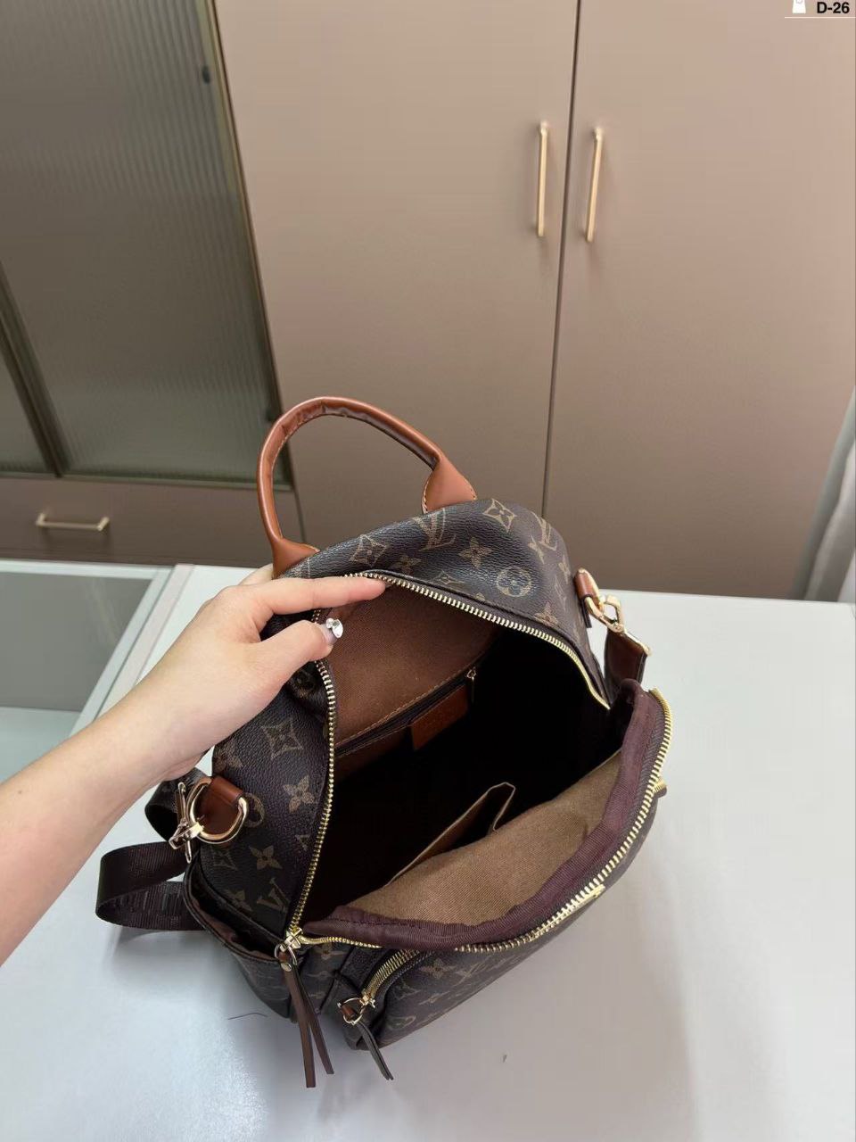 LV Backpack
