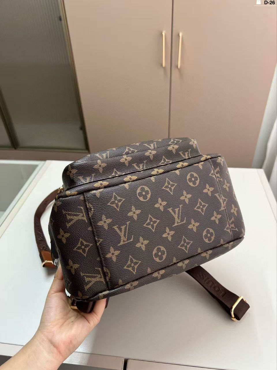 LV Backpack