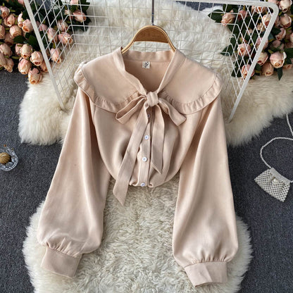 Cute lapel long sleeve top  264