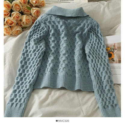 Korean bow tie tie short slim long sleeve sweater women  1888