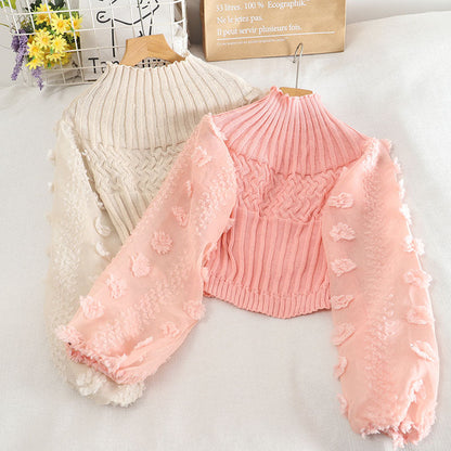 Sweet applique long sleeve cropped sweater  1478