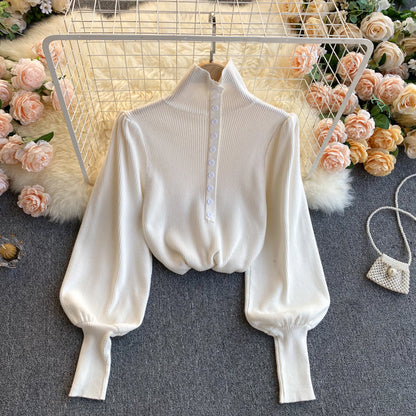 Elegant high neck long sleeve sweater  021