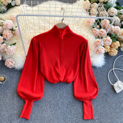 Elegant high neck long sleeve sweater  021