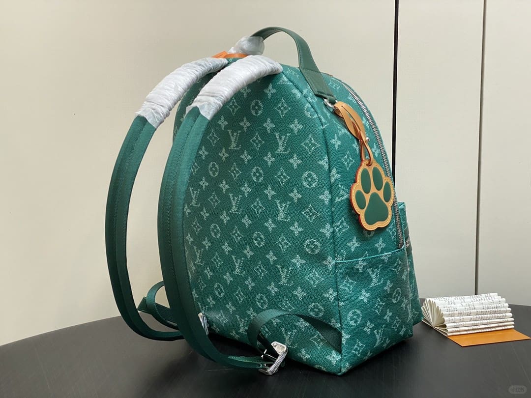 Louis Vuitton M12780 Discovery Backpack PM
