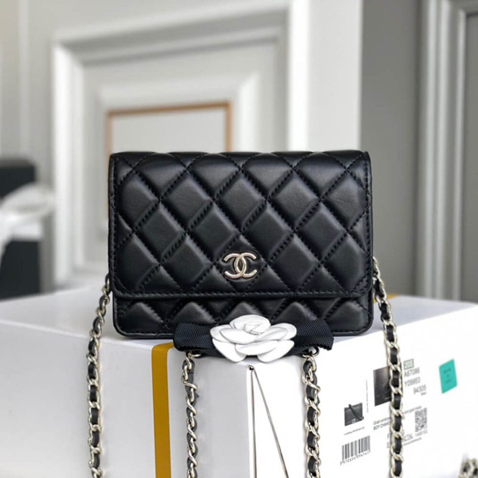 Chanel MINI WALLET ON CHAIN AP2160