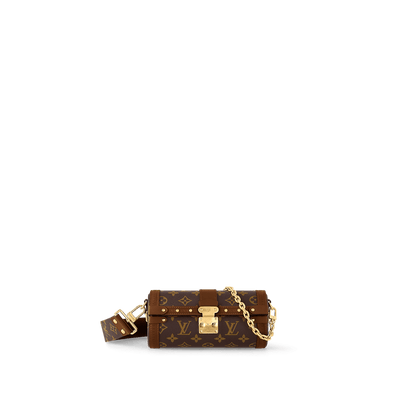 LOUIS VUITTON Papillon Trunk